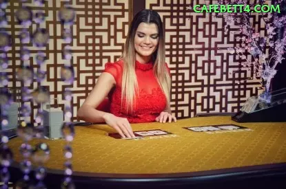 Cassino Ao Vivo